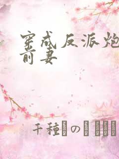 穿成反派炮灰的前妻