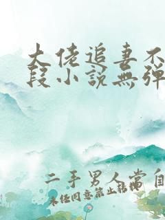 大佬追妻不择手段小说无弹窗最新章节