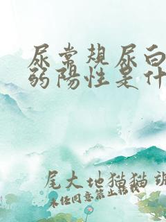 尿常规尿白细胞弱阳性是什么意思