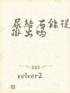 尿结石能从尿中排出吗