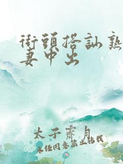 街头搭讪熟女人妻中出