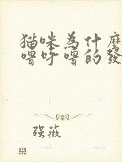 猫咪为什么会呼噜呼噜的发出声音