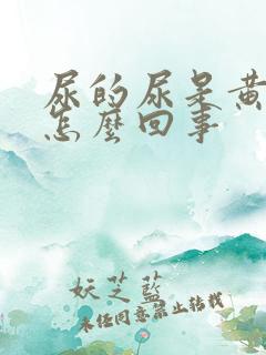 尿的尿是黄色的怎么回事