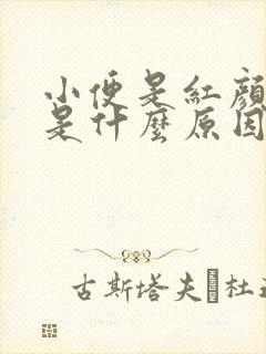 小便是红颜色的是什么原因引起的