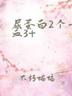 尿蛋白2个十隐血3+