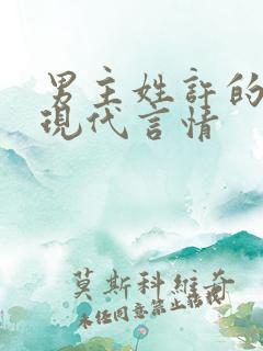 男主姓许的小说现代言情