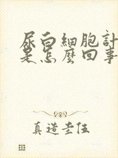 尿白细胞计数高是怎么回事