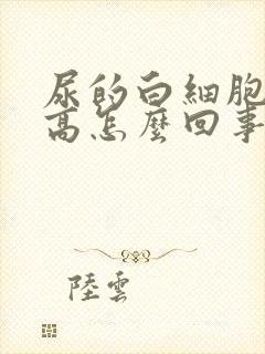 尿的白细胞计数高怎么回事