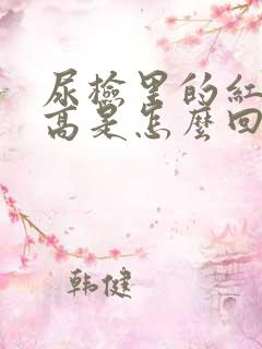 尿检里的红细胞高是怎么回事