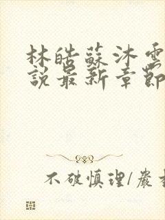 林皓苏沐云的小说最新章节更新情况