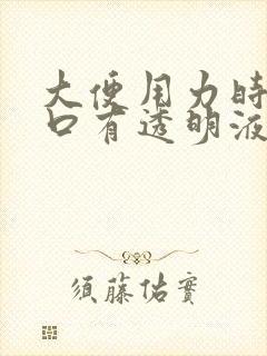 大便用力时尿道口有透明液体