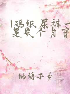 l码纸尿裤一般是几个月宝宝穿