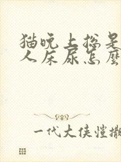 猫晚上总是上主人床尿怎么办