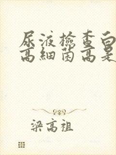 尿液检查白细胞高细菌高是什么原因