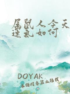 属鼠人今天打牌运气如何