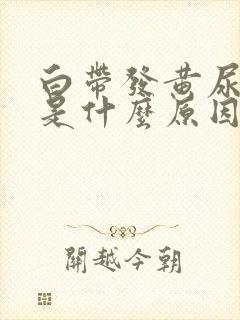 白带发黄尿发黄是什么原因