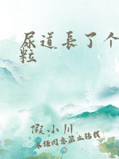 尿道长了个小肉粒