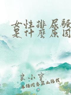 女性排尿骚味大是什么原因