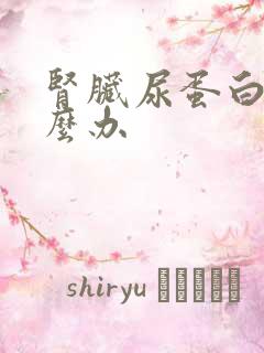 肾脏尿蛋白高怎么办