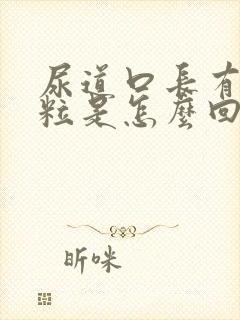 尿道口长有小肉粒是怎么回事啊