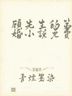 顾先生的第一宠婚小说免费版