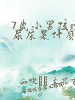 7岁小男孩晚上尿床是什么原因