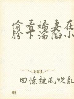 偷看娇妻在别人胯下沦陷小说