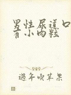 男性尿道口下方有小肉粒