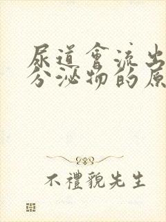 尿道会流出白色分泌物的原因