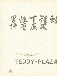 男性下体刺疼是什么原因