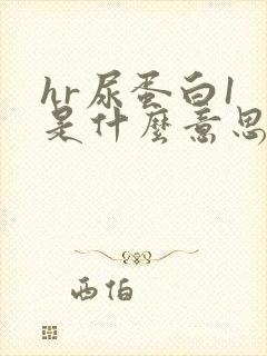 hr尿蛋白1 是什么意思