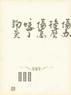 狗咬伤后伤口发炎了怎么办?