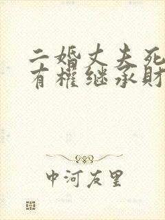 二婚丈夫死后谁有权继承财产