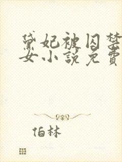 黛妃被囚禁的圣女小说免费阅读全文