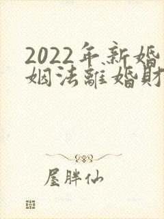 2022年新婚姻法离婚财产怎么分割