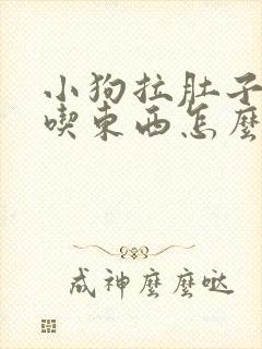 小狗拉肚子吐不吃东西怎么办