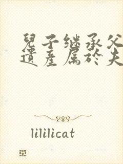 儿子继承父母的遗产属于夫妻共同财产吗