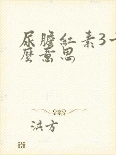 尿胆红素3十什么意思