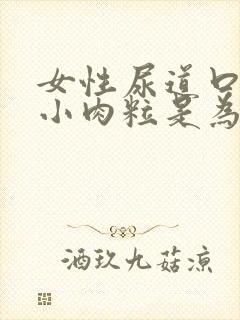 女性尿道口痒起小肉粒是为什么