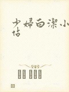 少妇白洁小说网站