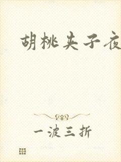 胡桃夹子夜未眠