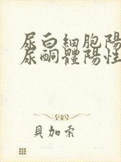 尿白细胞阳性,尿酮体阳性