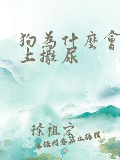 狗为什么会在床上撒尿