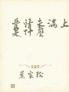 爱情未满上一句是什么