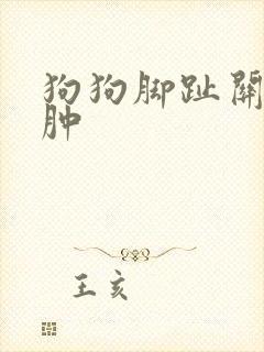 狗狗脚趾关节红肿