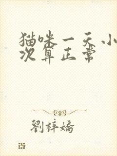 猫咪一天小便几次算正常