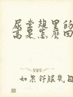 尿常规里的细菌高是怎么回事