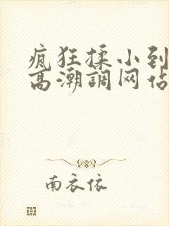 疯狂揉小到失禁高潮调网站