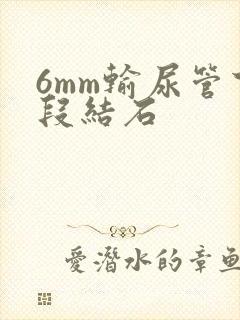 6mm输尿管下段结石