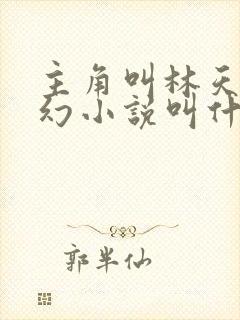 主角叫林天的玄幻小说叫什么名字